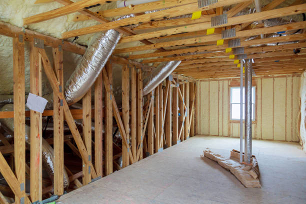 Best Insulation Removal  in Lemon Grove, CA