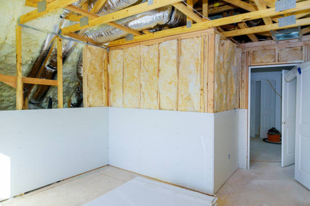 Best Insulation Replacement Services  in Lemon Grove, CA