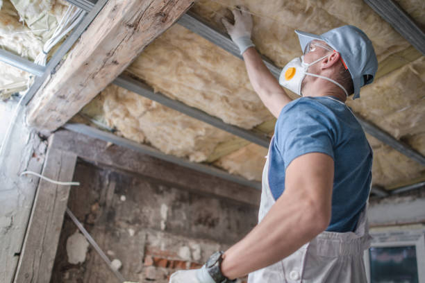 Best Local Insulation Services  in Lemon Grove, CA