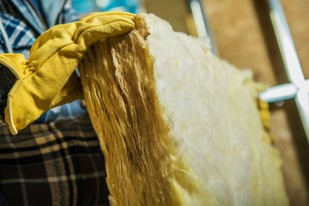 Best Soundproof Insulation Installation  in Lemon Grove, CA