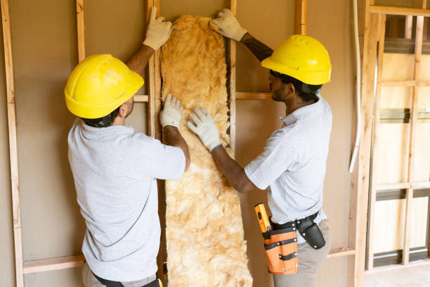 Best Home Insulation Services  in Lemon Grove, CA