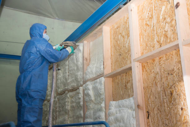 Trusted Lemon Grove, CA Insulation Contractor Experts
