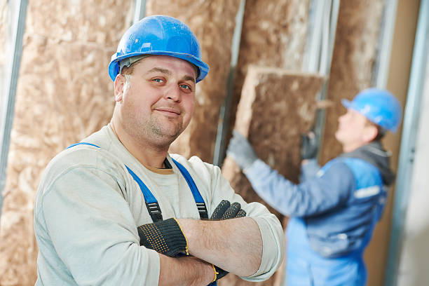 Best Residential Insulation Services  in Lemon Grove, CA